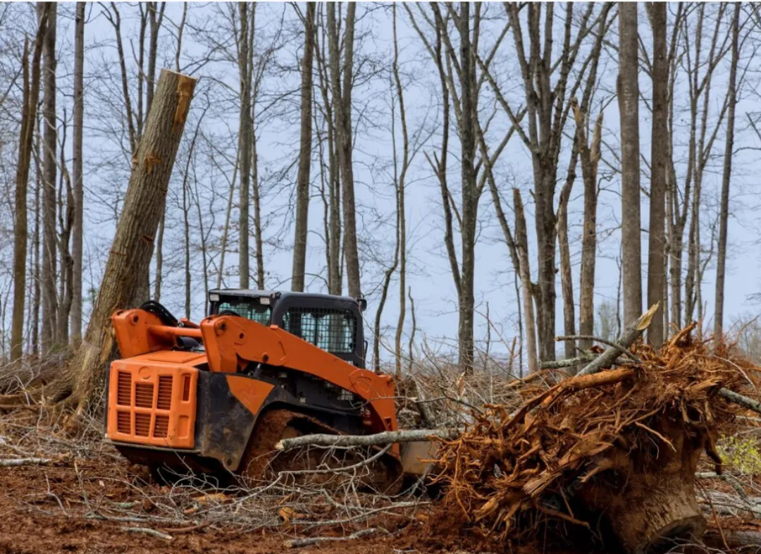 Forestry land clearing Work